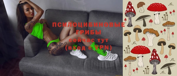 меф Каменногорск