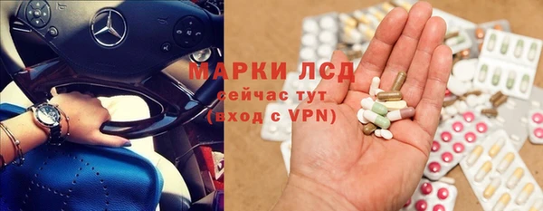 стафф Каменка