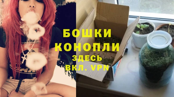 стафф Каменка