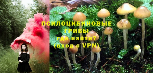 меф Каменногорск