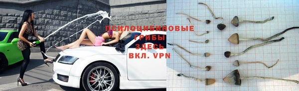 герыч Каменск-Шахтинский